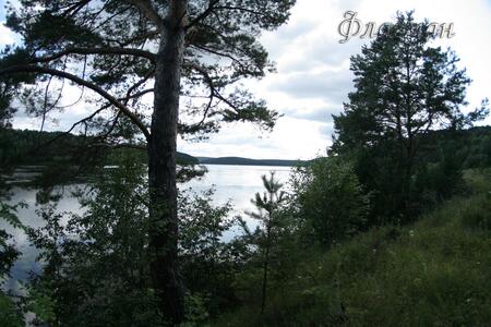 БВР 2009 природа