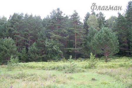 БВР 2009 природа