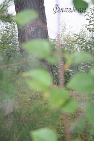 БВР 2009 природа