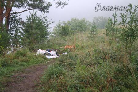 БВР 2009 природа