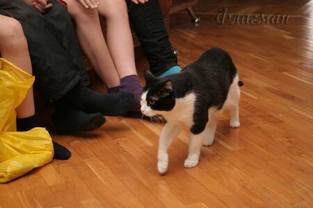 2010_02_28 Тюмень