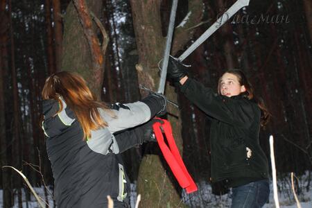 2012_01_06 January forest