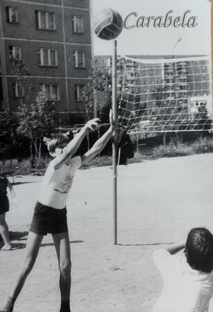 Архив Антона Добрачева