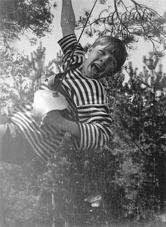 g_каравелла_кино