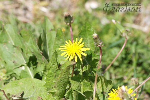 EOS 10D CMOS RAW IMAGE
