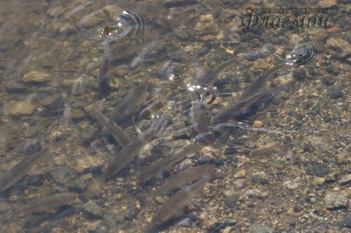 EOS 10D CMOS RAW IMAGE