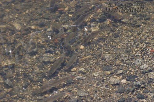 EOS 10D CMOS RAW IMAGE
