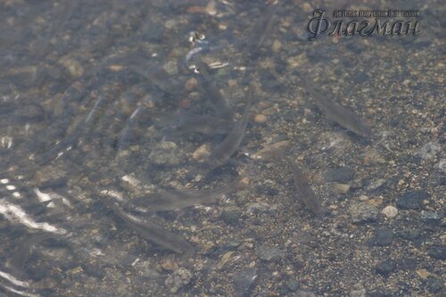 EOS 10D CMOS RAW IMAGE