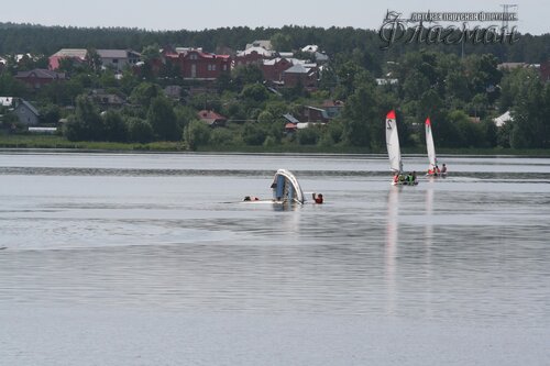 IMG_2454_r