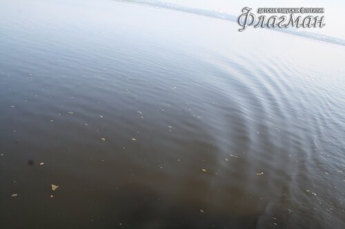 IMG_4104_r