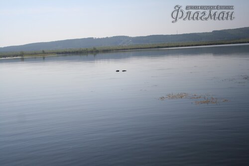 IMG_4118_r