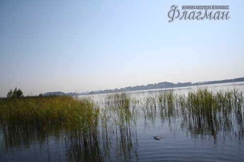 IMG_4124_r