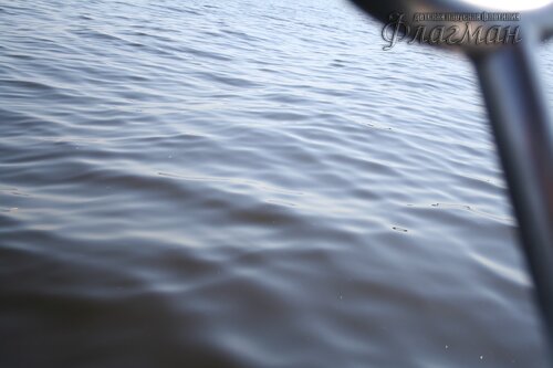 IMG_4180_r
