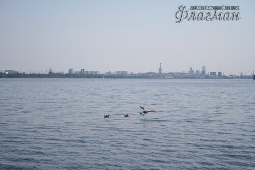 IMG_4195_r