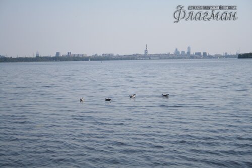 IMG_4197_r