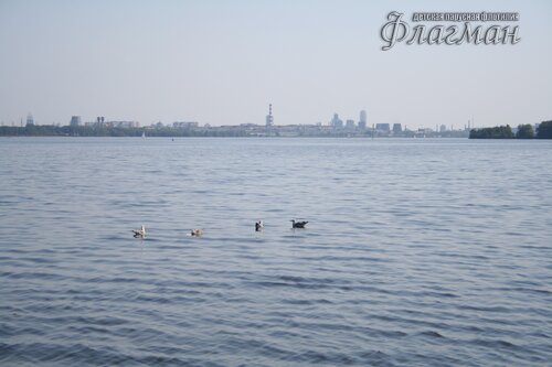 IMG_4199_r