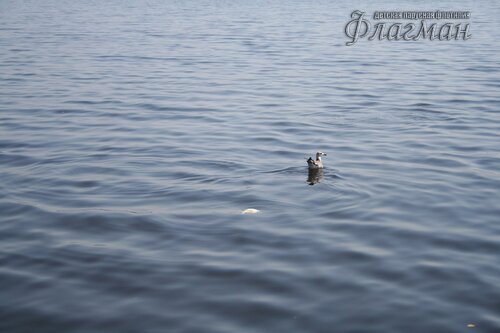 IMG_4200_r