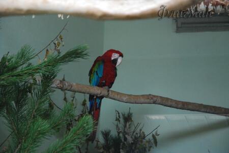 2009_09_27