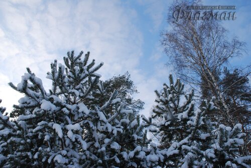 DSC_3680_r