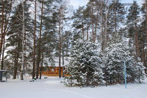 DSC_3677_r