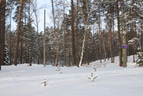 DSC_3691_r