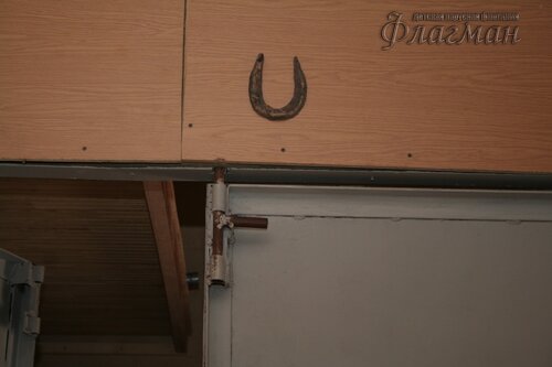 IMG_8730_r