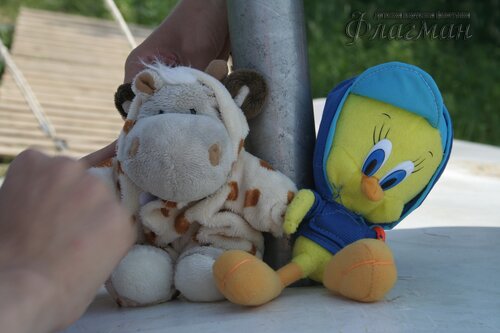 IMG_9552_r
