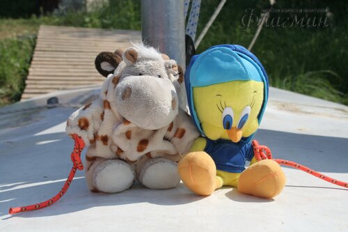 IMG_9554_r