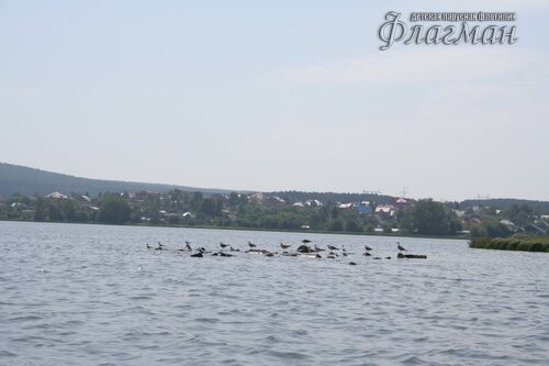 IMG_9683_r
