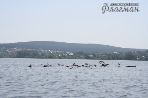 IMG_9684_r