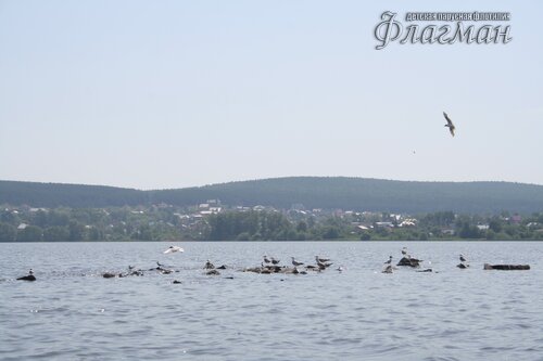 IMG_9685_r