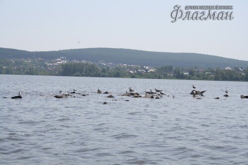 IMG_9686_r