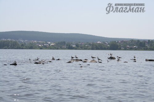IMG_9687_r