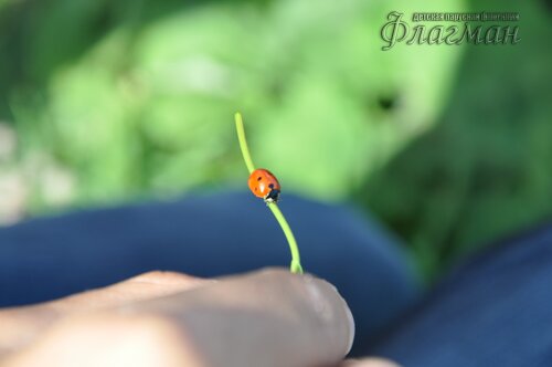 DSC_1270_r
