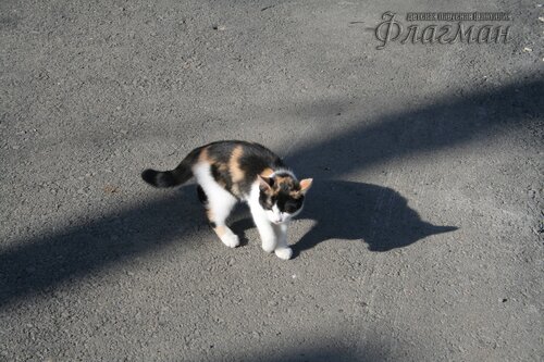 IMG_1012_r