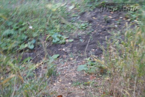IMG_1162_r