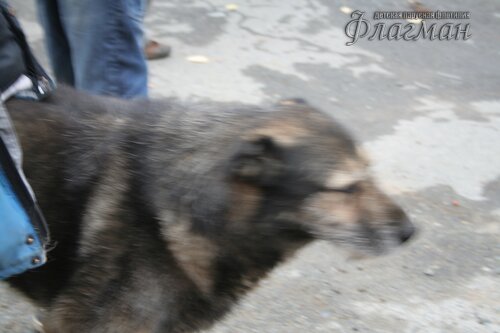 IMG_1229_r