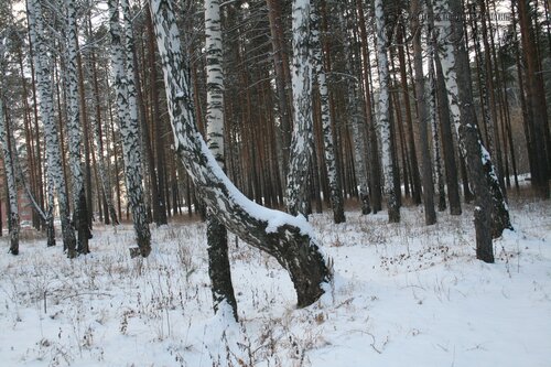 IMG_3216_r