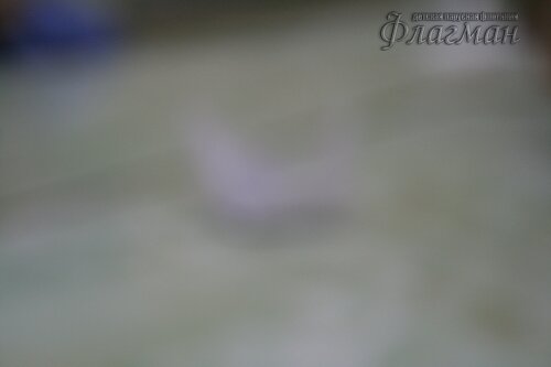 IMG_3389_r