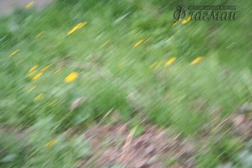 IMG_7028_r