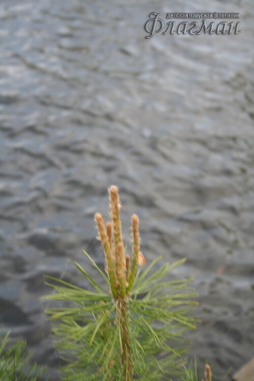 IMG_7062_r