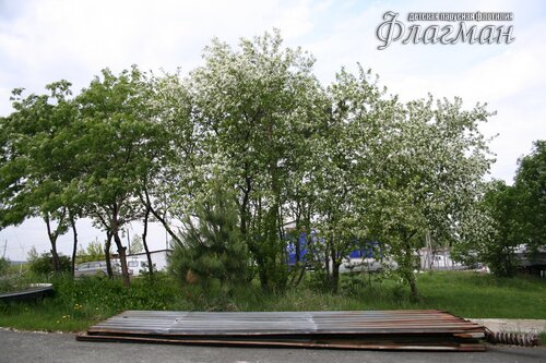IMG_7064_r