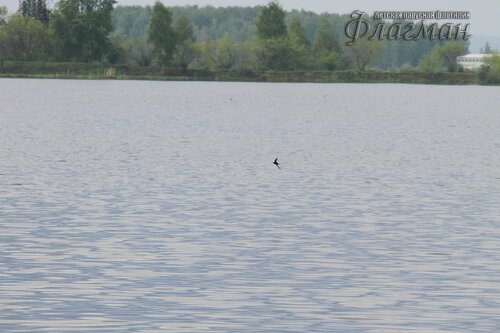 IMG_4401_r
