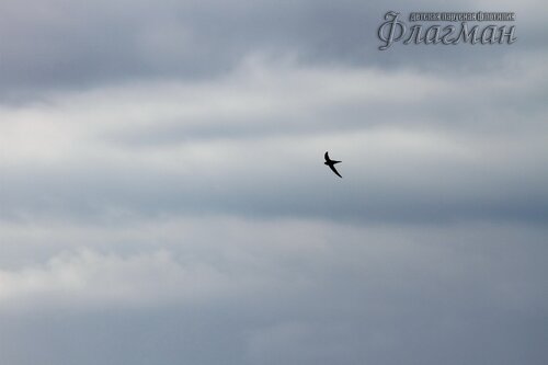 IMG_4403_r