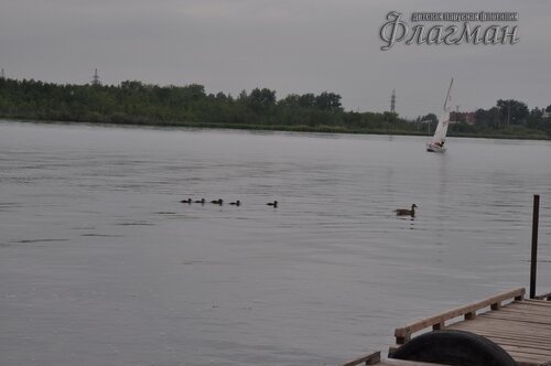 DSC_3534_r