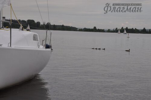 DSC_3536_r