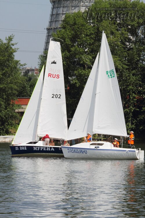 DPP_0040_r