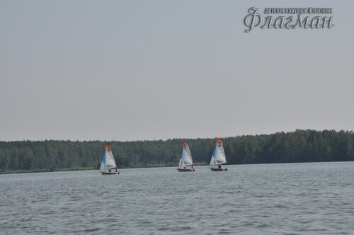 DSC_3972_r