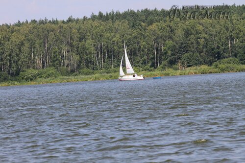 IMG_9341_r
