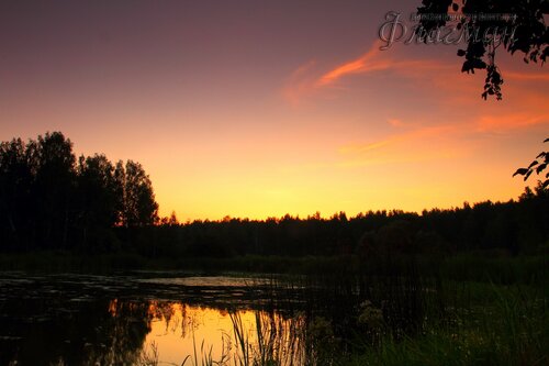 IMG_9487_r